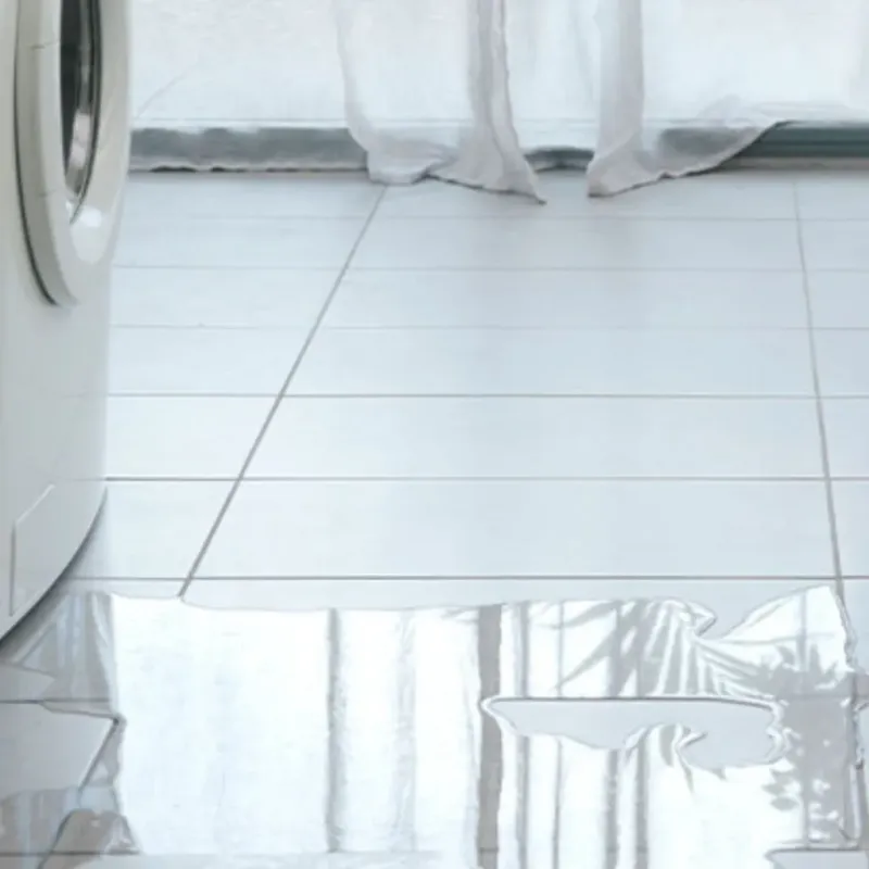 Appliance Leak Cleanup in Olton, TX