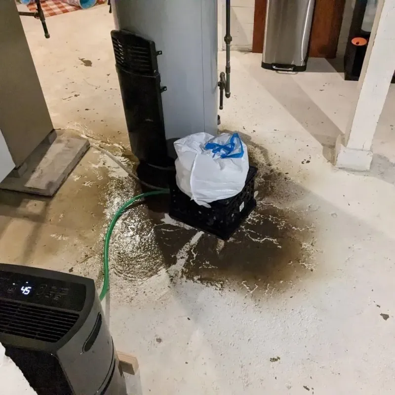 Sewage Backup Cleanup Service in Olton, TX